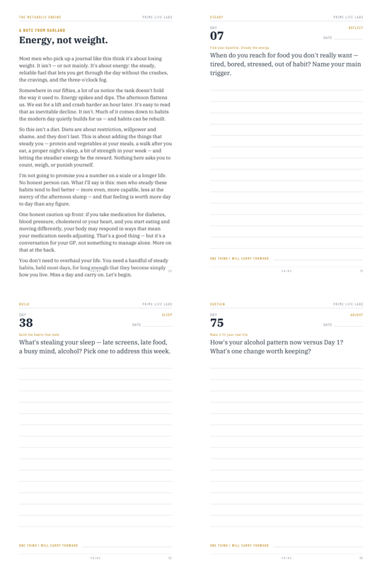 The Metabolic Engine inside pages
